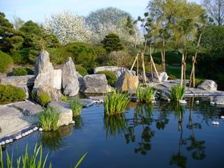 Koiteich im japanischen Garten in Bartschendorf